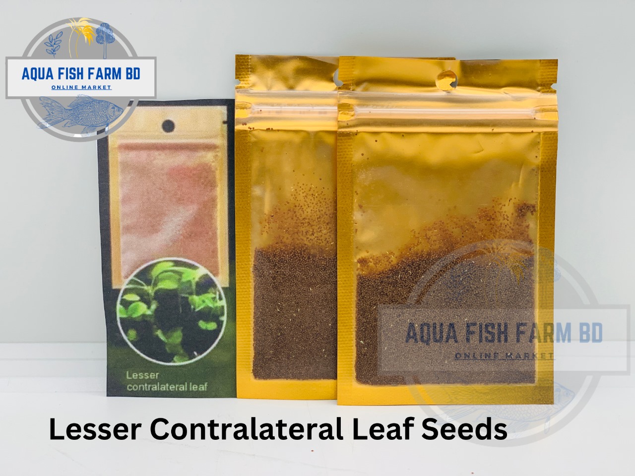 Lesser Contralateral Leaf Seeds For Planted Tank