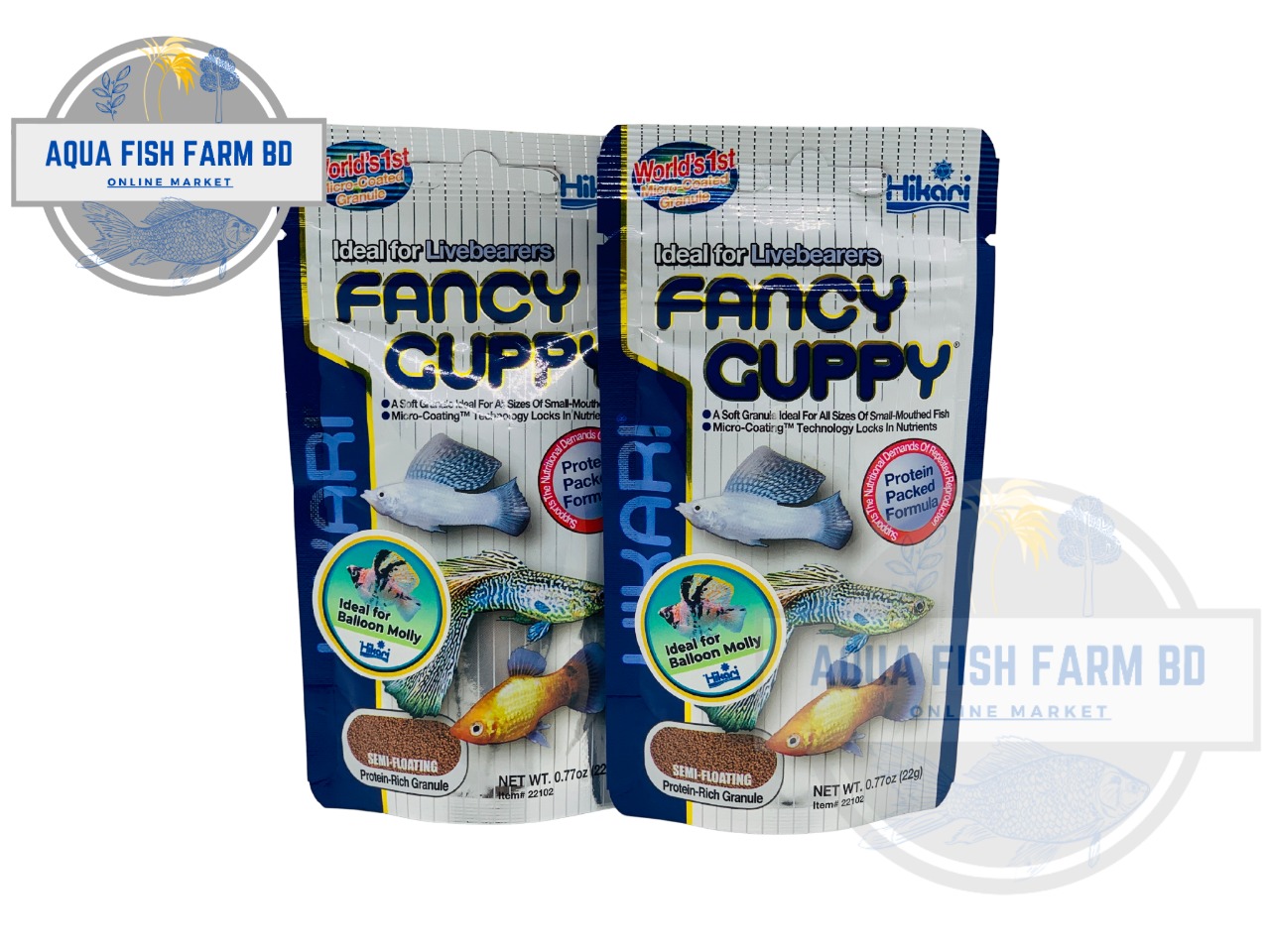 Fancy Guppy (22gm) Hikari